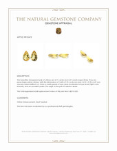 9.14 Ct.Tw.Total Carat Weight Yellow Citrine Pair from Brazil Appraisal