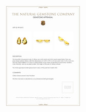 8.52 Ct.Tw.Total Carat Weight Citrine Pair from Brazil Appraisal