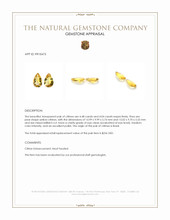 8.52 Ct.Tw.Total Carat Weight Yellow Citrine Pair from Brazil Appraisal