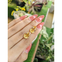 8.52 Ct.Tw.Total Carat Weight Citrine Pair from Brazil Life Style