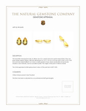 9.05 Ct.Tw.Total Carat Weight Yellow Citrine Pair from Brazil Appraisal