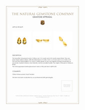 9.68 Ct.Tw.Total Carat Weight Citrine Pair from Brazil Appraisal