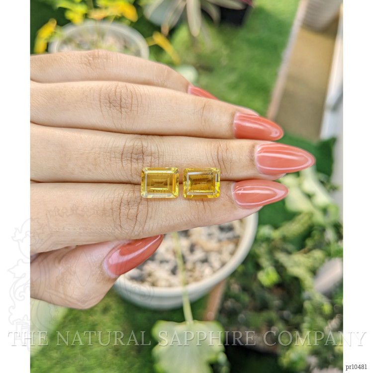 8.38 Ct.Tw. Citrine Pair from Brazil