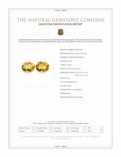 7.62 Ct.Tw.Total Carat Weight Yellow Citrine Pair from Brazil Scan Report