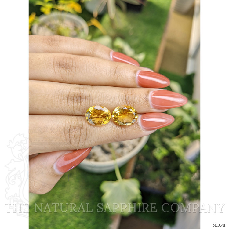 7.62 Ct.Tw. Citrine Pair from Brazil