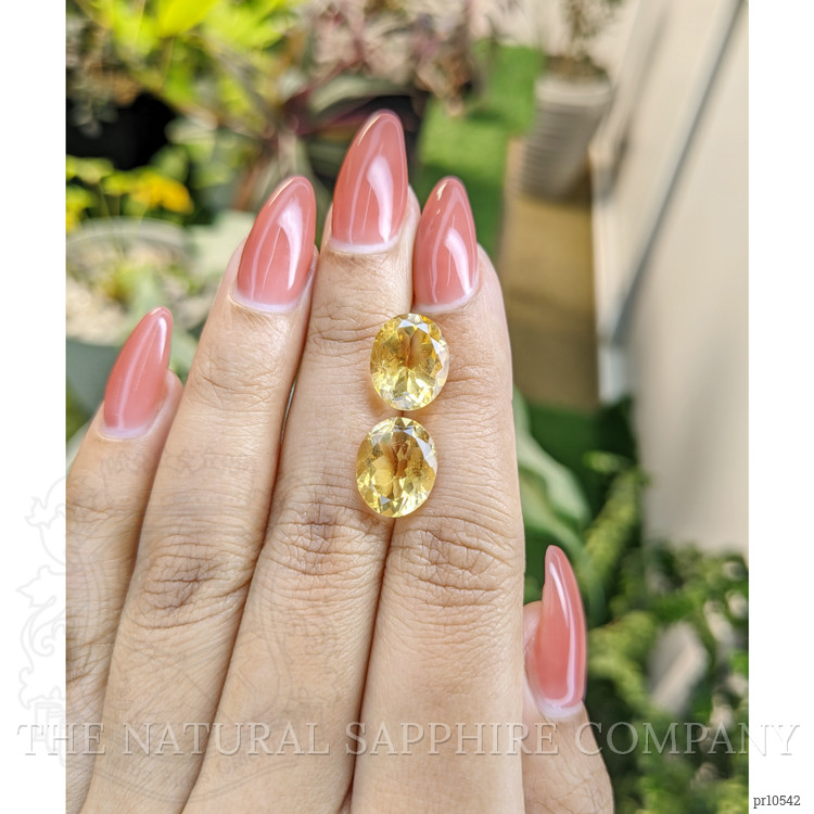 7.86 Ct.Tw. Citrine Pair from Brazil