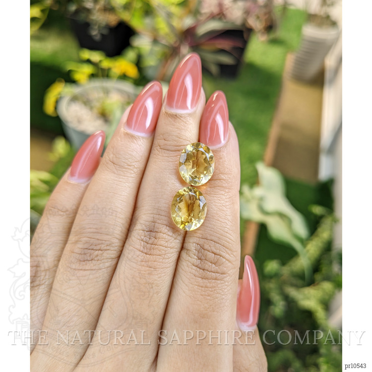 7.79 Ct.Tw. Citrine Pair from Brazil