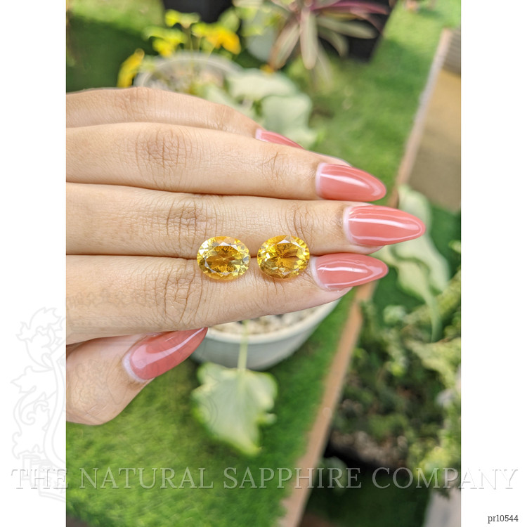 8.69 Ct.Tw. Citrine Pair from Brazil