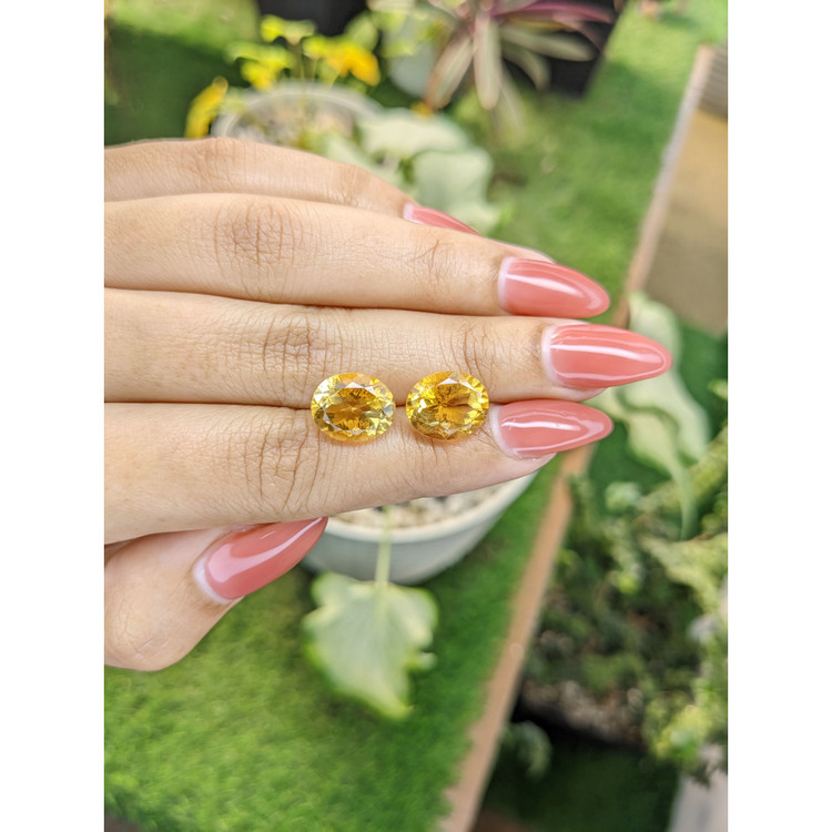 8.69 Ct.Tw. Citrine Pair from Brazil