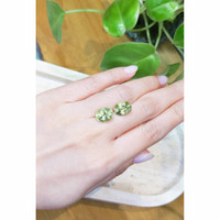 8.90&nbsp;Ct.Tw.Total Carat Weight Apatite Pair from Madagascar Life Style