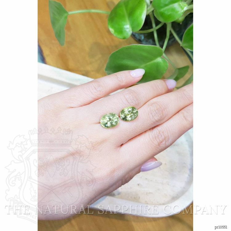 8.90 Ct.Tw. Apatite Pair from Madagascar