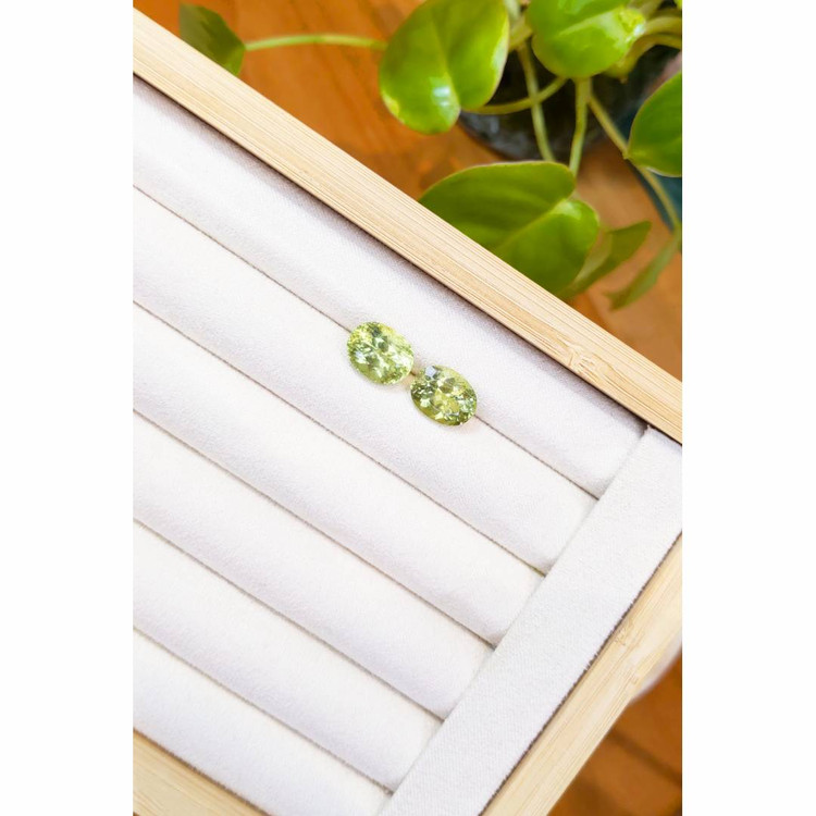 8.90 Ct.Tw. Apatite Pair from Madagascar