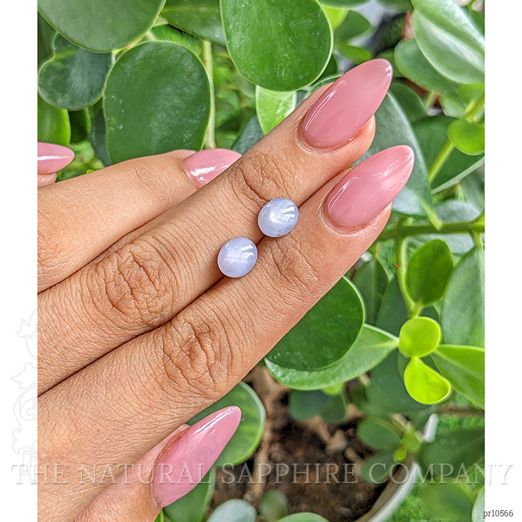 4.31 Ct.Tw. Grey Star Sapphire Pair from Ceylon (Sri Lanka)