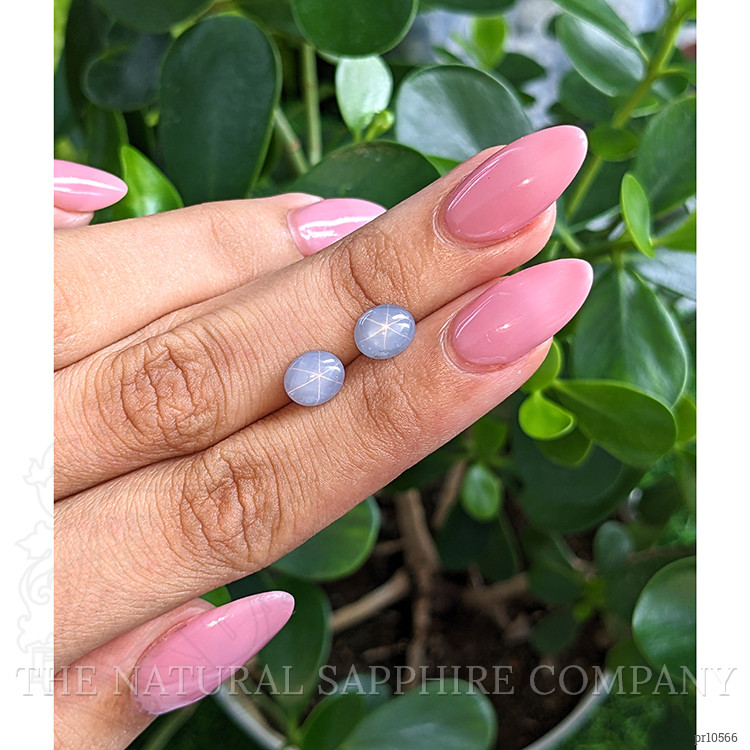 4.31 Ct.Tw. Grey Star Sapphire Pair from Ceylon (Sri Lanka)