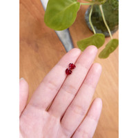 1.94&nbsp;Ct.Tw.Total Carat Weight Ruby Pair from Mozambique Life Style