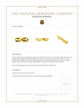 10.22 Ct.Tw.Total Carat Weight Yellow Citrine Pair from Brazil Appraisal
