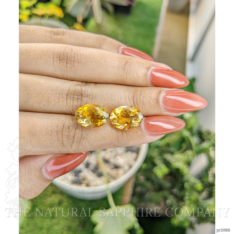 11.01 Ct.Tw. Citrine Pair from Brazil