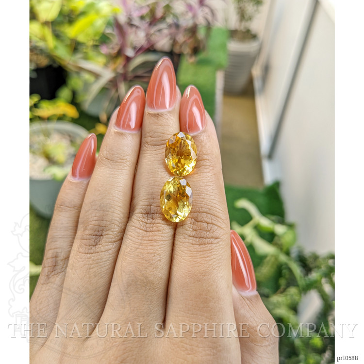 11.01 Ct.Tw. Citrine Pair from Brazil
