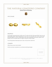 9.65 Ct.Tw.Total Carat Weight Citrine Pair from Brazil Appraisal