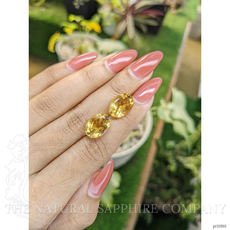 9.65 Ct.Tw. Citrine Pair from Brazil