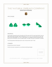 1.00 Ct.Tw.Total Carat Weight Emerald Pair from Colombia Appraisal