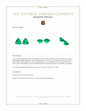 1.00 Ct.Tw.Total Carat Weight Emerald Pair from Colombia Appraisal