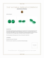 0.50 Ct.Tw.Total Carat Weight Emerald Pair from Colombia Appraisal
