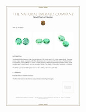 0.47 Ct.Tw.Total Carat Weight Emerald Pair from Zambia Appraisal