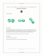 0.47 Ct.Tw.Total Carat Weight Emerald Pair from Zambia Appraisal