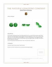 0.94 Ct.Tw.Total Carat Weight Tsavorite Garnet Pair from Tanzania Appraisal