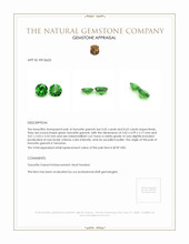 1.07 Ct.Tw.Total Carat Weight Tsavorite Garnet Pair from Tanzania Appraisal