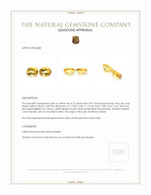 8.71 Ct.Tw.Total Carat Weight Citrine Pair from Brazil Appraisal