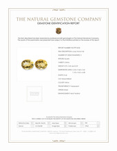 7.09 Ct.Tw.Total Carat Weight Citrine Pair from Brazil Scan Report