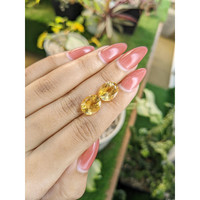 7.52 Ct.Tw.Total Carat Weight Citrine Pair from Brazil Life Style