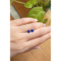 1.55&nbsp;Ct.Tw.Total Carat Weight Blue Sapphire Pair from Ceylon (Sri Lanka) Life Style