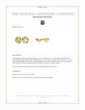 6.22 Ct.Tw.Total Carat Weight Yellow Citrine Pair from Brazil Appraisal