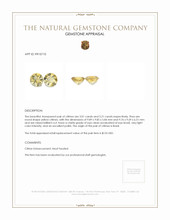 6.22 Ct.Tw.Total Carat Weight Citrine Pair from Brazil Appraisal