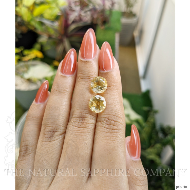 6.22 Ct.Tw. Citrine Pair from Brazil