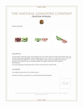 13.10&nbsp;Ct.Tw.Total Carat Weight Tourmaline Pair from Mozambique Appraisal