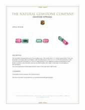 4.09 Ct.Tw.Total Carat Weight Tourmaline Pair from Mozambique Appraisal