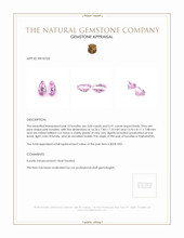 10.91&nbsp;Ct.Tw.Total Carat Weight Kunzite Pair from Afghanistan Appraisal