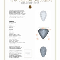 10.91 Ct.Tw.Total Carat Weight Kunzite Pair from Afghanistan 3 D Scan Report