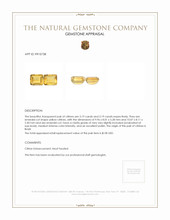 6.38 Ct.Tw.Total Carat Weight Citrine Pair from Brazil Appraisal