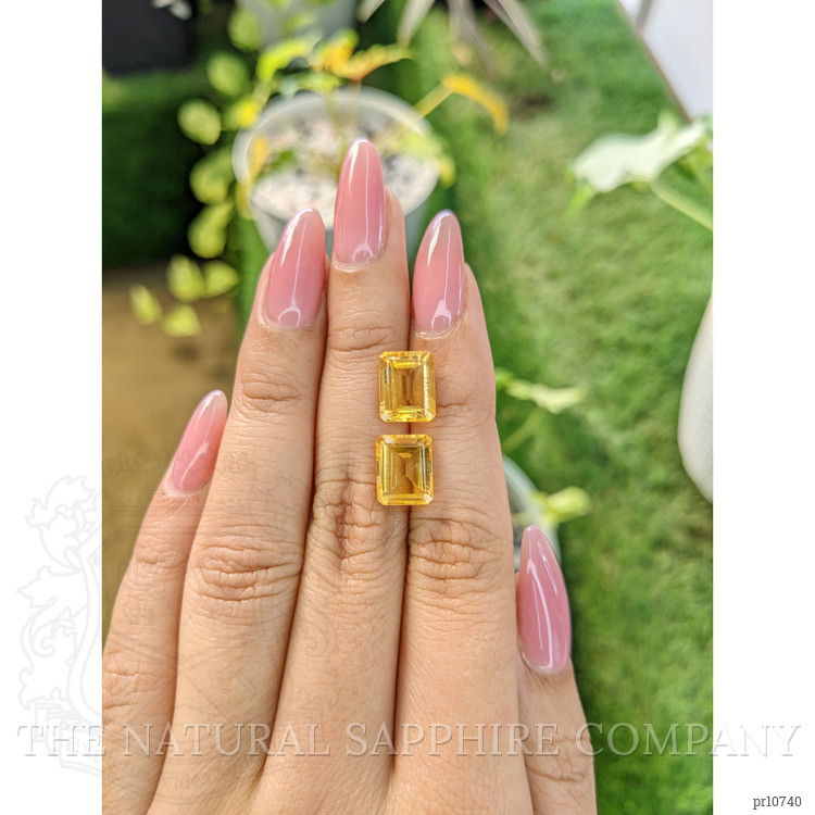 6.37 Ct.Tw. Citrine Pair from Brazil