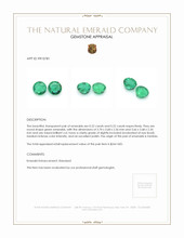 0.44 Ct.Tw.Total Carat Weight Emerald Pair from Zambia Appraisal