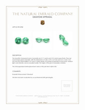 0.35&nbsp;Ct.Tw.Total Carat Weight Emerald Pair from Zambia Appraisal