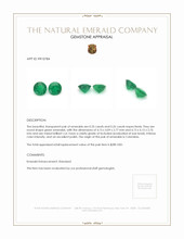 0.51 Ct.Tw.Total Carat Weight Emerald Pair from Colombia Appraisal