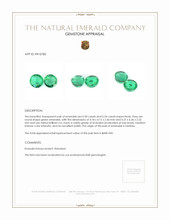 0.64 Ct.Tw.Total Carat Weight Emerald Pair from Zambia Appraisal