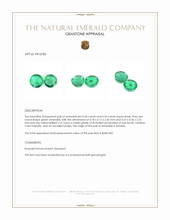 0.64 Ct.Tw.Total Carat Weight Emerald Pair from Zambia Appraisal