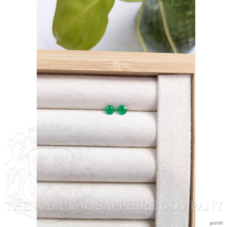0.46 Ct.Tw. Emerald Pair from Colombia